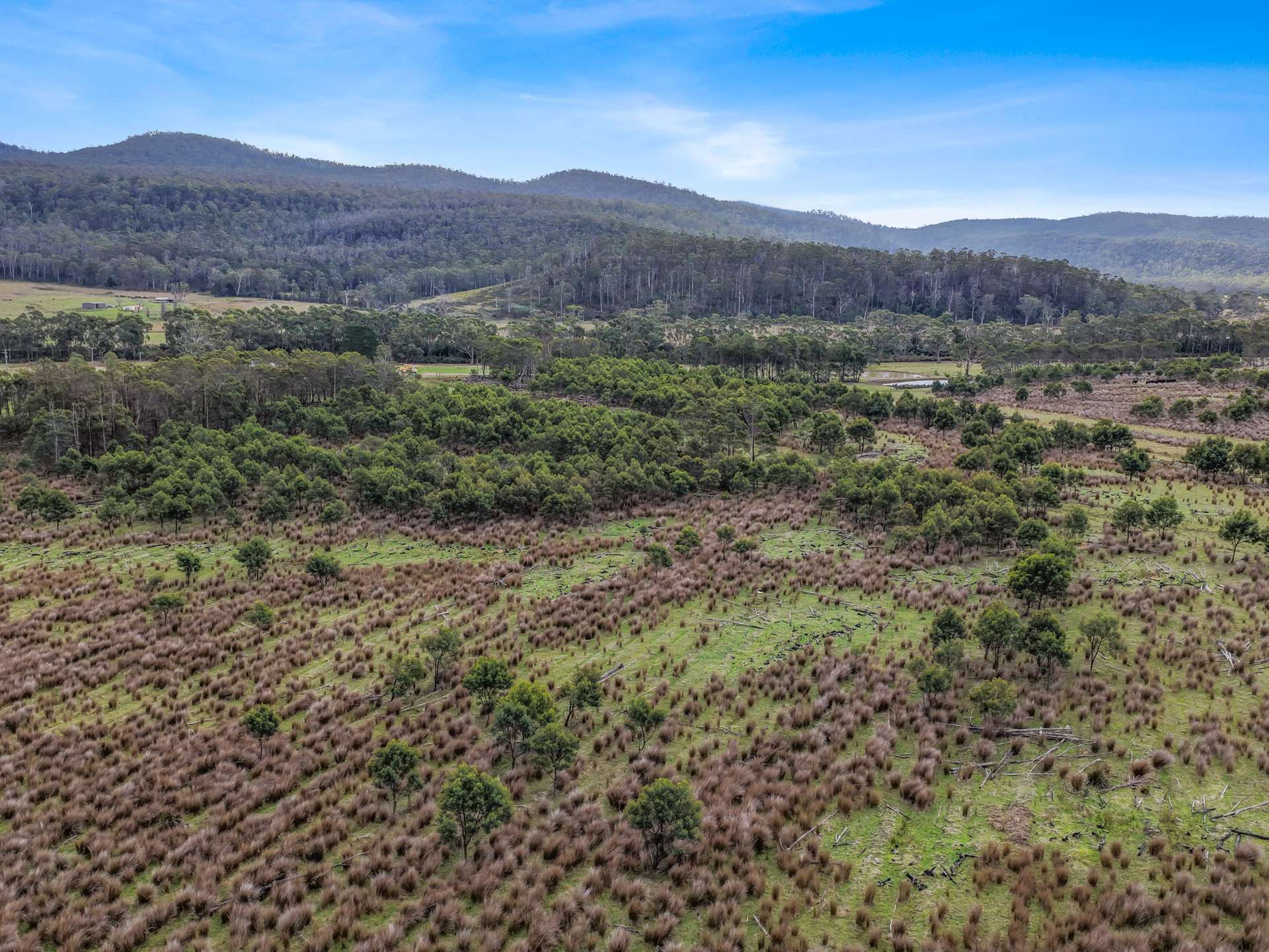 Lot 5, 524 Rosedale Road, Bicheno For Sale by Farmbuy.com - image 5