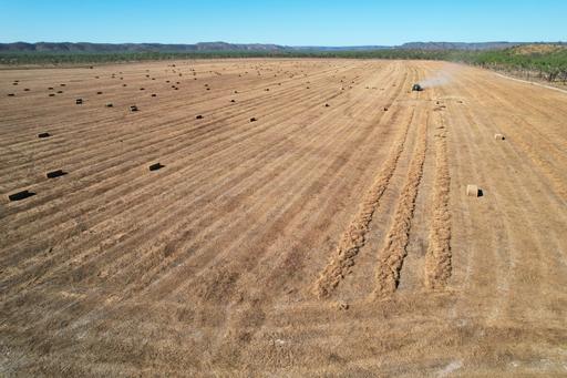 Farm For Sale - NT - Robin Falls - 0822 - VICTORIA DOWNS - One of the Northern Territory's quality emerging fodder and agricultural enterprises! 
