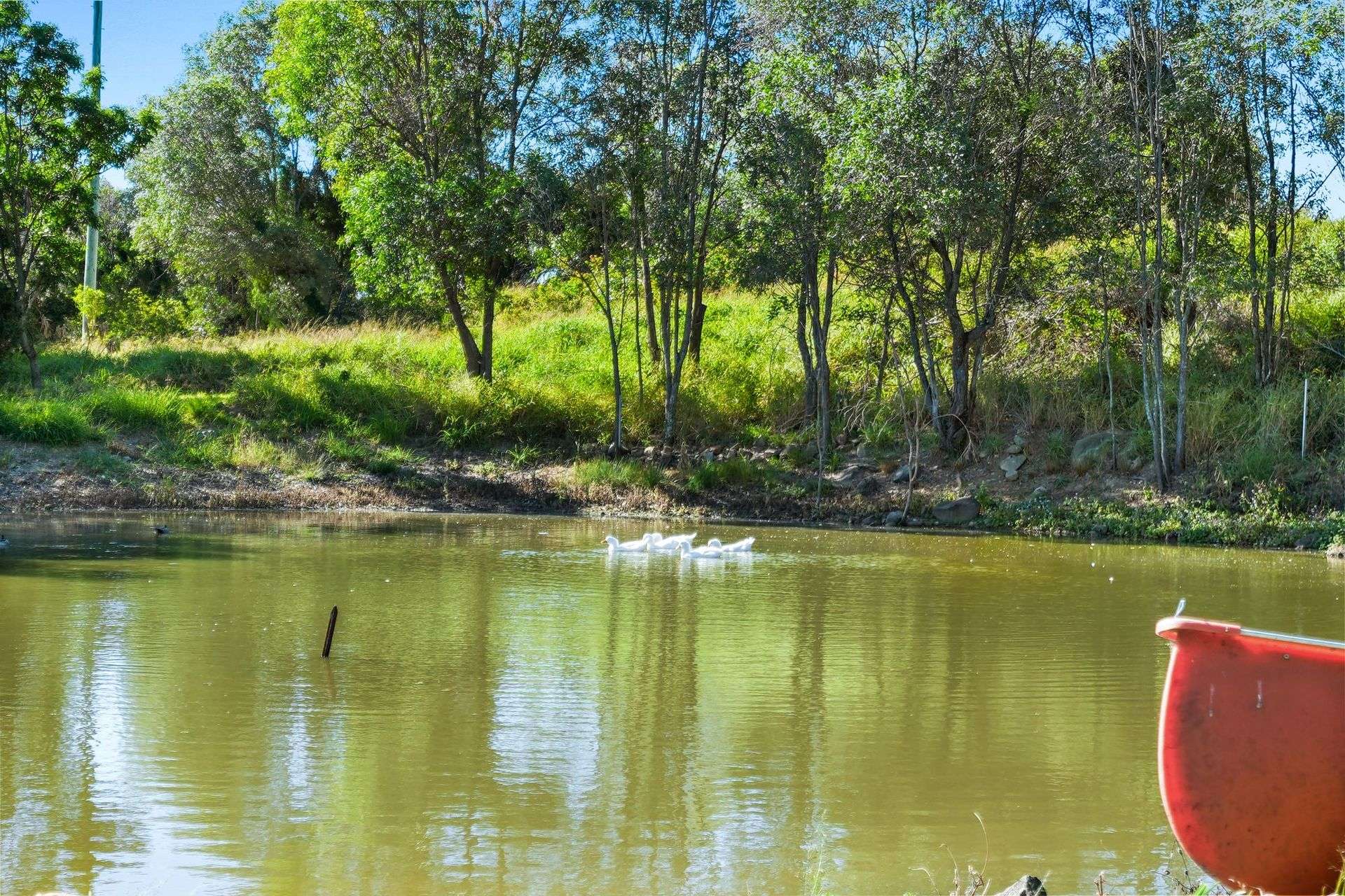 104 Lutter Road, Charlwood For Sale by Farmbuy.com - image 30