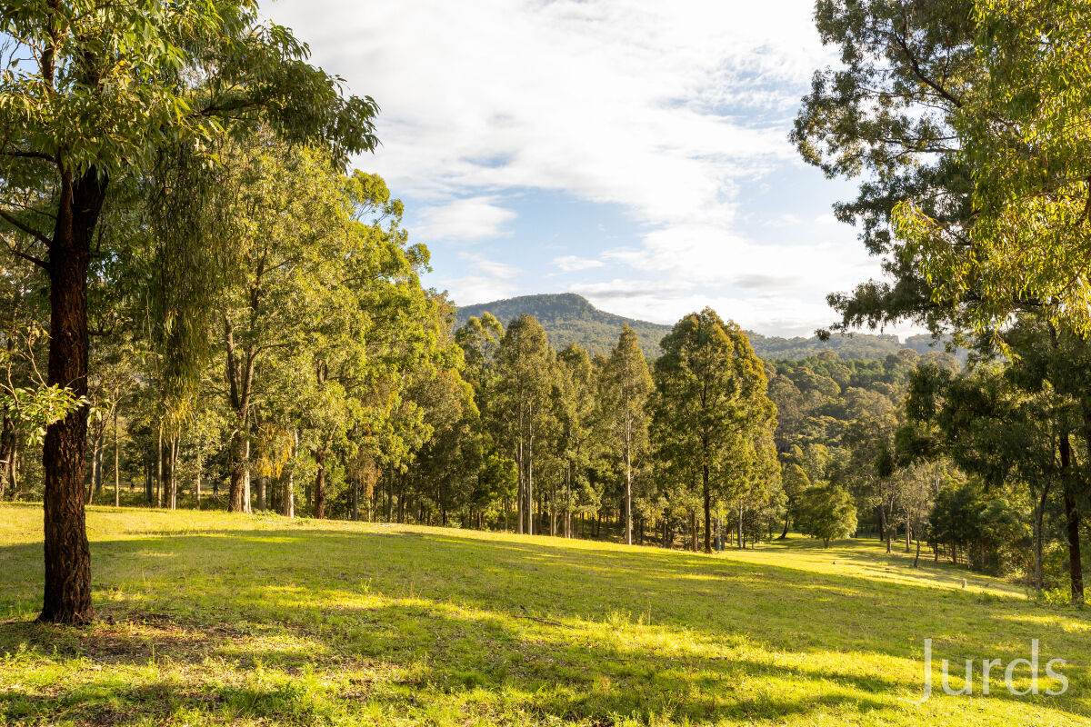 157 Rodney Road, Mount Vincent For Sale by Farmbuy.com - image 4