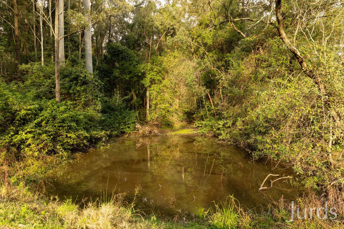 157 Rodney Road, Mount Vincent Sold by Farmbuy.com - image 13