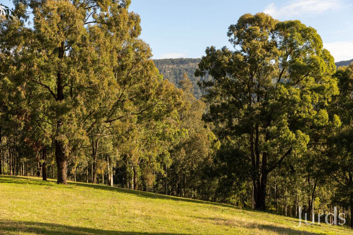 157 Rodney Road, Mount Vincent For Sale by Farmbuy.com - image 11