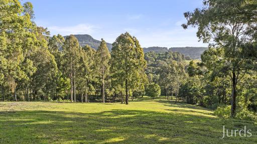 Farm For Sale - NSW - Mount Vincent - 2323 - Build Your Dream Country Escape – 25 Acres with Stunning Mountain Views 