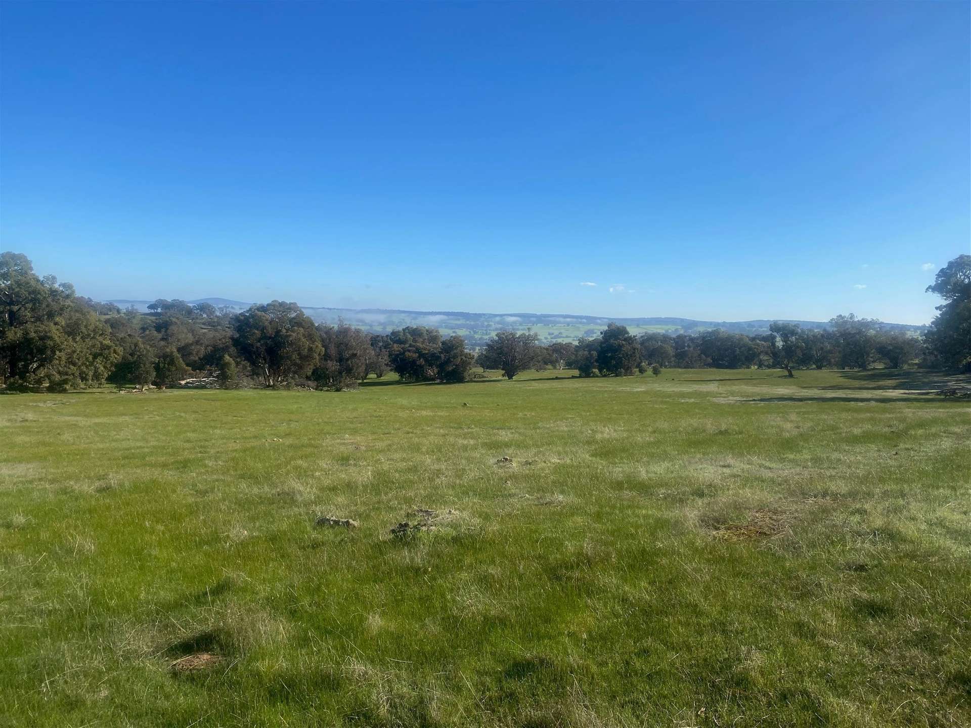 Lot 30 Marling Road, Williams For Sale by Farmbuy.com - image 1