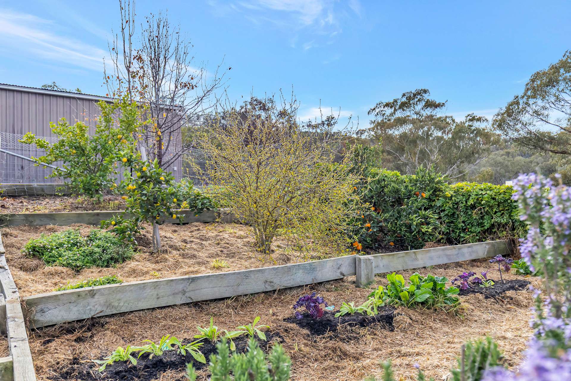 13 Charles Road, Mudgee For Sale by Farmbuy.com - image 16