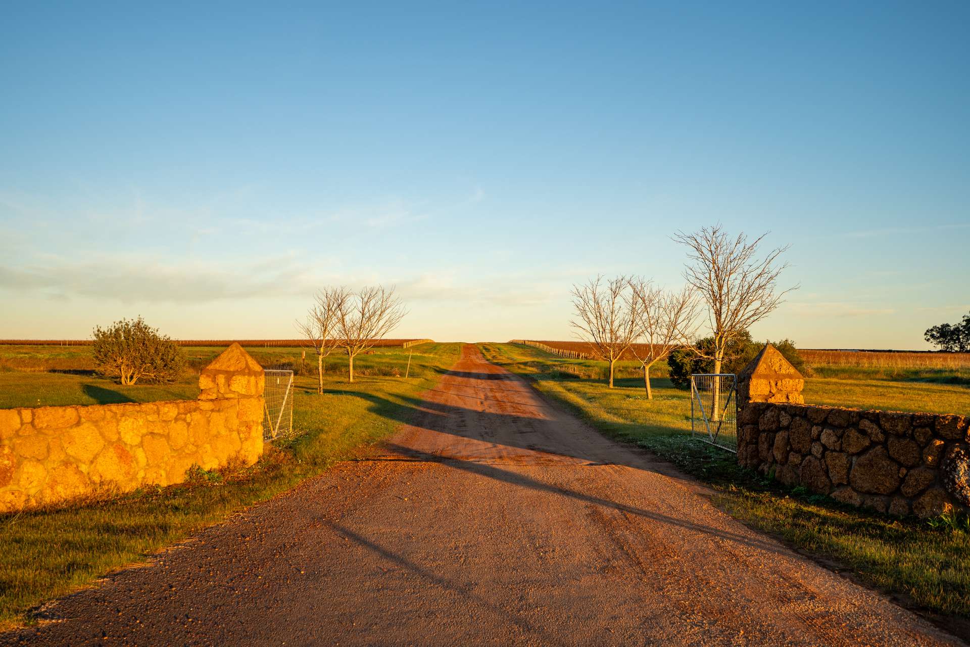 186 Ferngrove Road, Frankland River For Sale by Farmbuy.com - image 15