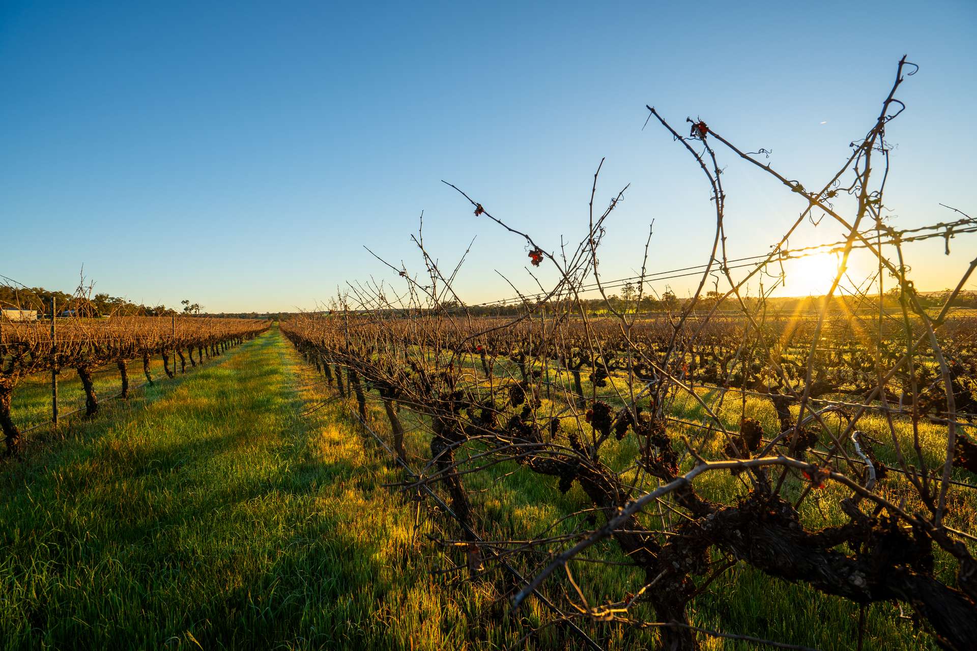 186 Ferngrove Road, Frankland River For Sale by Farmbuy.com - image 17