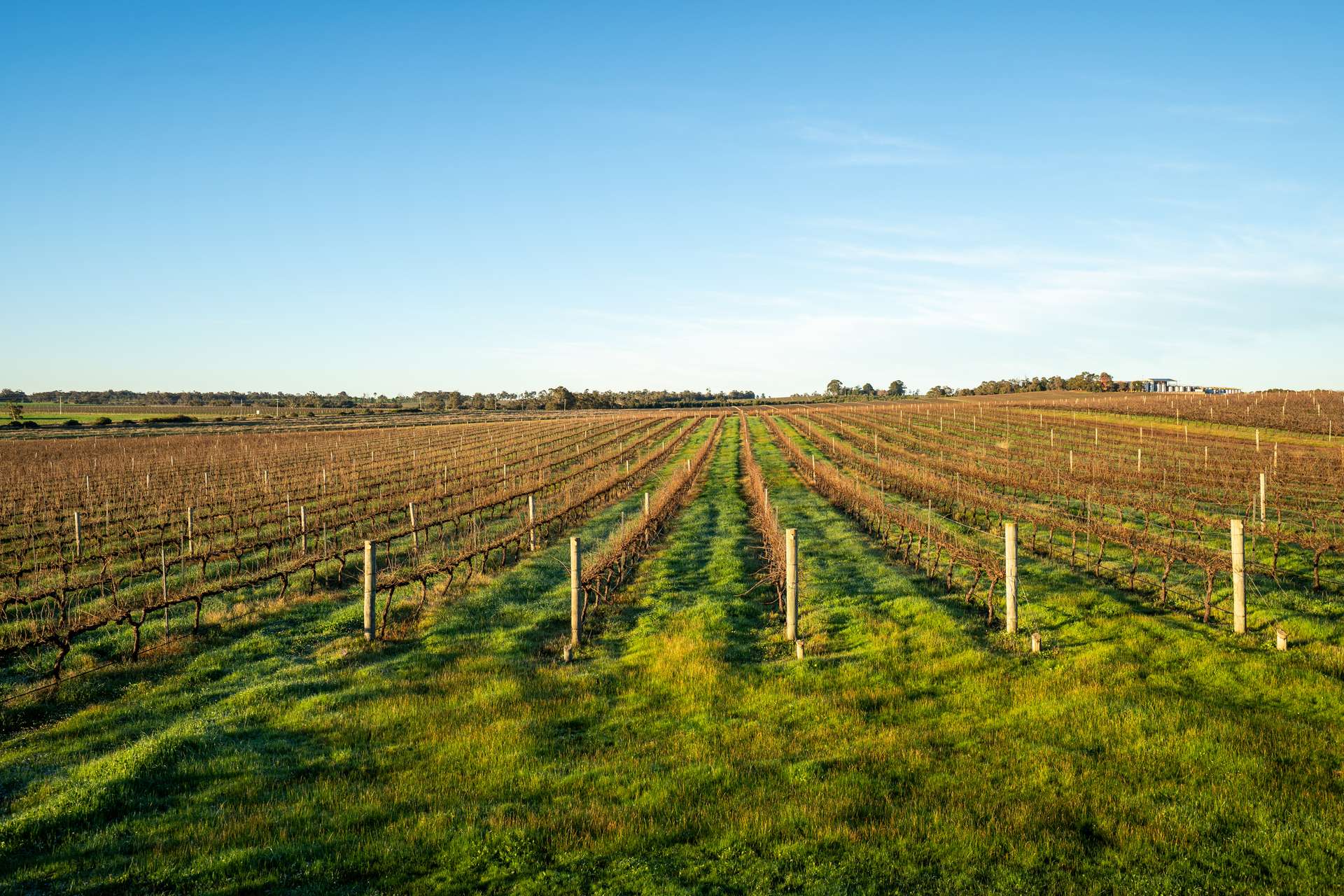 186 Ferngrove Road, Frankland River For Sale by Farmbuy.com - image 18