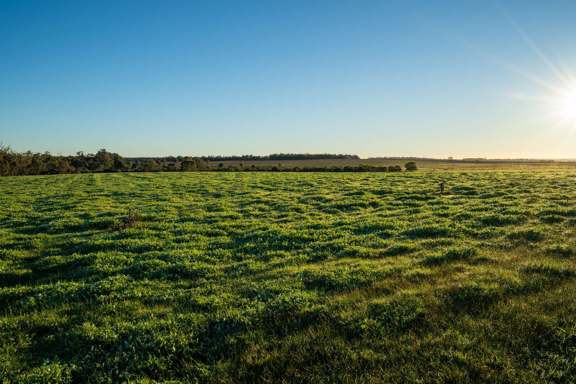 186 Ferngrove Road, Frankland River For Sale by Farmbuy.com - image 19