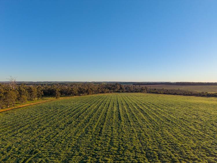 186 Ferngrove Road, Frankland River For Sale by Farmbuy.com - image 13