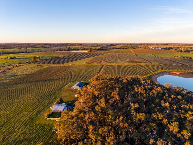 186 Ferngrove Road, Frankland River For Sale by Farmbuy.com - image 9