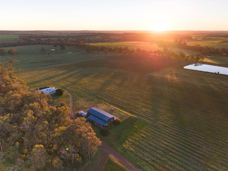 186 Ferngrove Road, Frankland River For Sale by Farmbuy.com - image 5