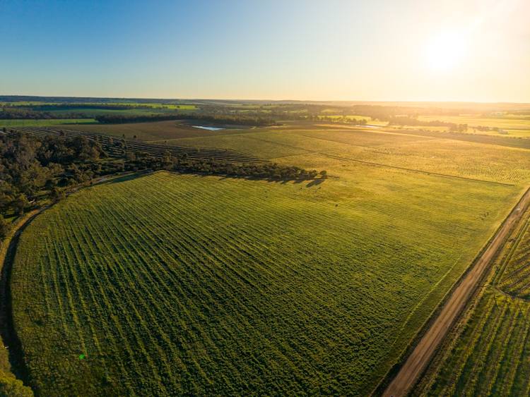 186 Ferngrove Road, Frankland River For Sale by Farmbuy.com - image 14