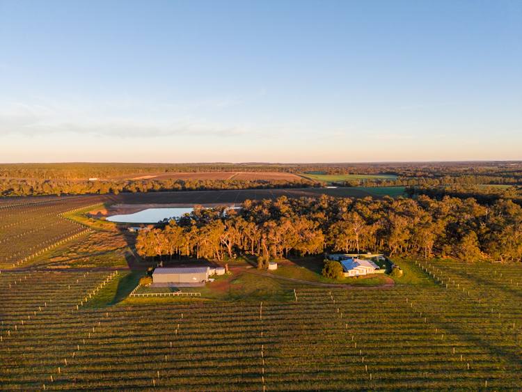 186 Ferngrove Road, Frankland River For Sale by Farmbuy.com - image 2