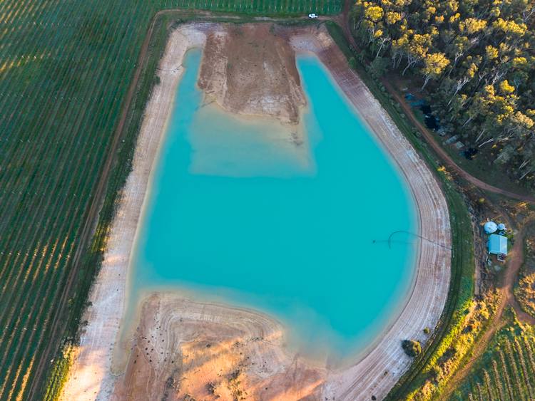186 Ferngrove Road, Frankland River For Sale by Farmbuy.com - image 12