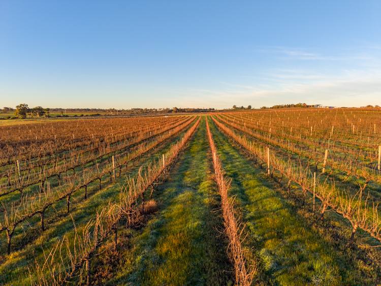 186 Ferngrove Road, Frankland River For Sale by Farmbuy.com - image 10