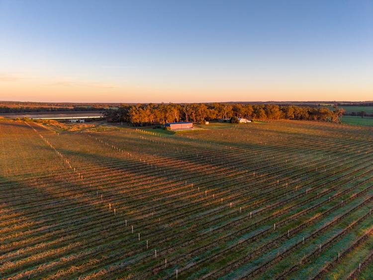 186 Ferngrove Road, Frankland River For Sale by Farmbuy.com - image 3