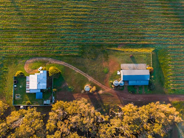 186 Ferngrove Road, Frankland River For Sale by Farmbuy.com - image 7