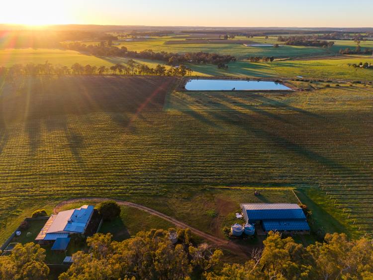186 Ferngrove Road, Frankland River For Sale by Farmbuy.com - image 8