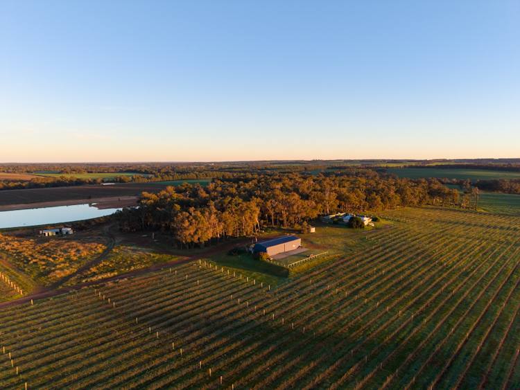 186 Ferngrove Road, Frankland River For Sale by Farmbuy.com - image 6