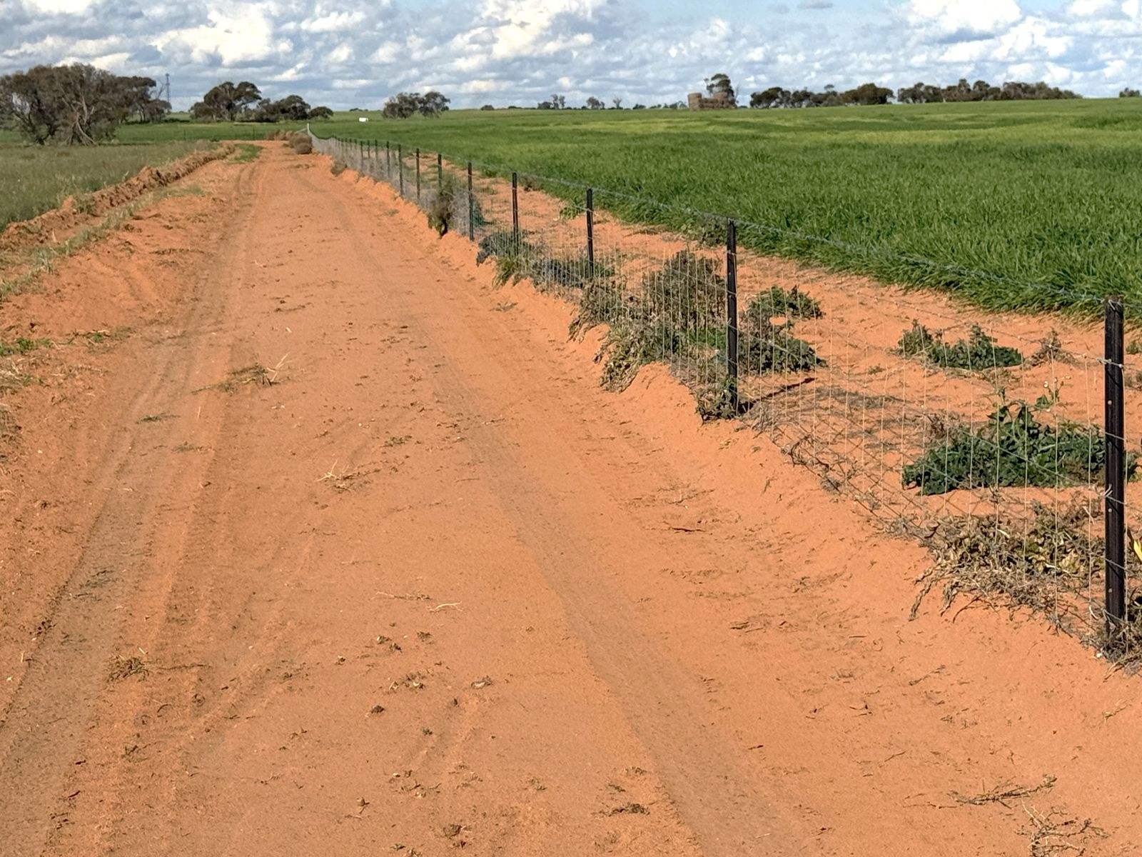 'Mount Hope' Curtis Road, Wargan For Sale by Farmbuy.com - image 7