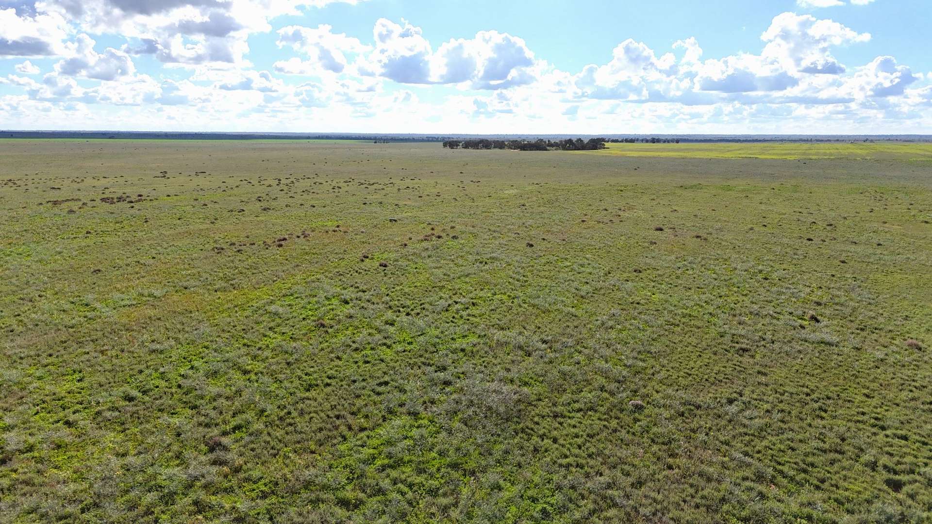 'Mount Hope' Curtis Road, Wargan For Sale by Farmbuy.com - image 2