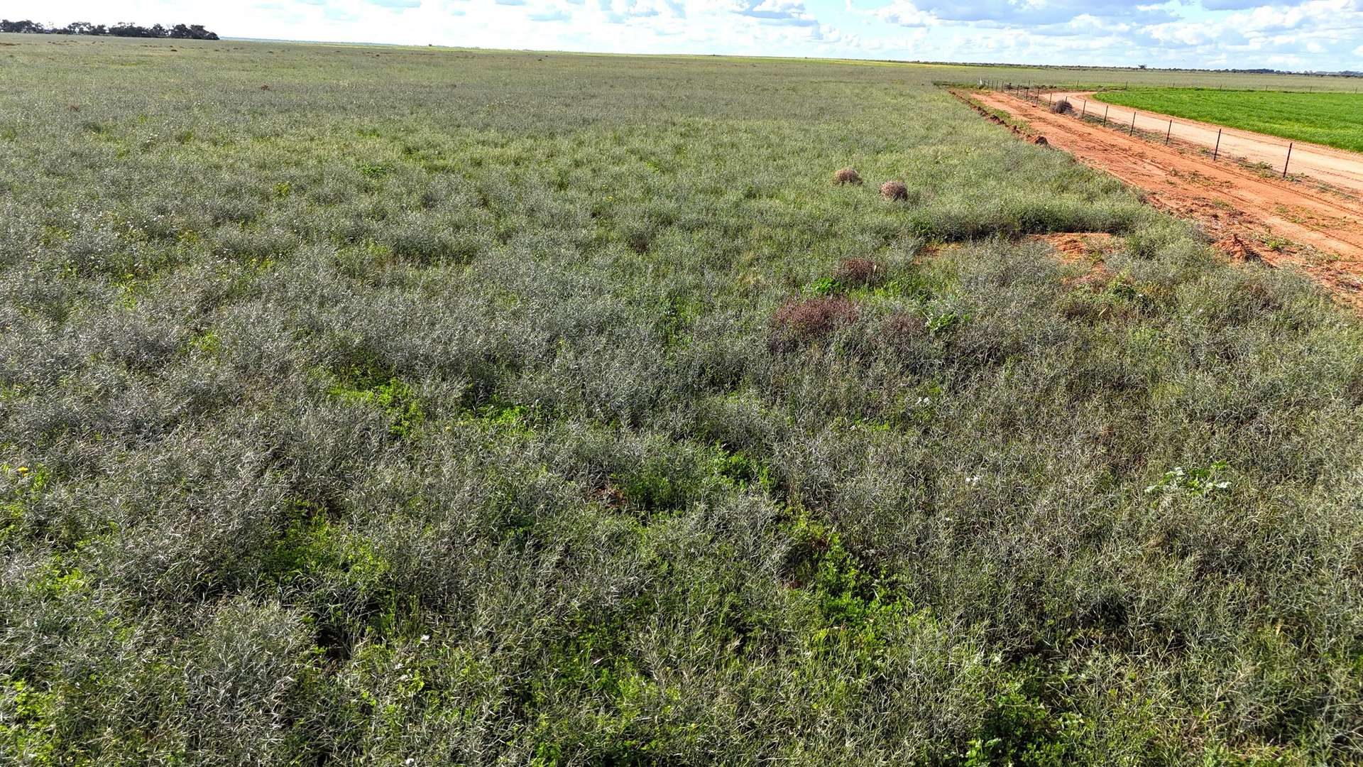 'Mount Hope' Curtis Road, Wargan For Sale by Farmbuy.com - image 4
