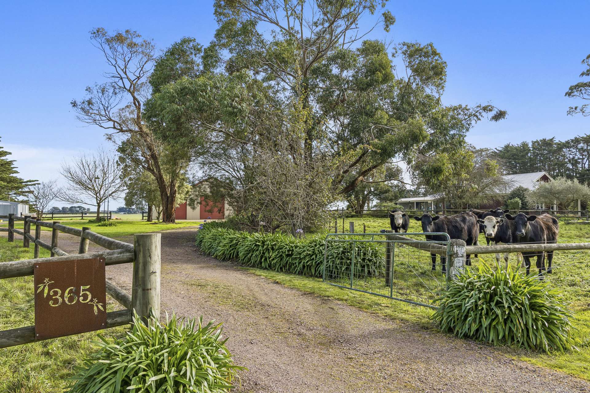 365 Chocolyn Settlement Road, Chocolyn For Sale by Farmbuy.com - image 2