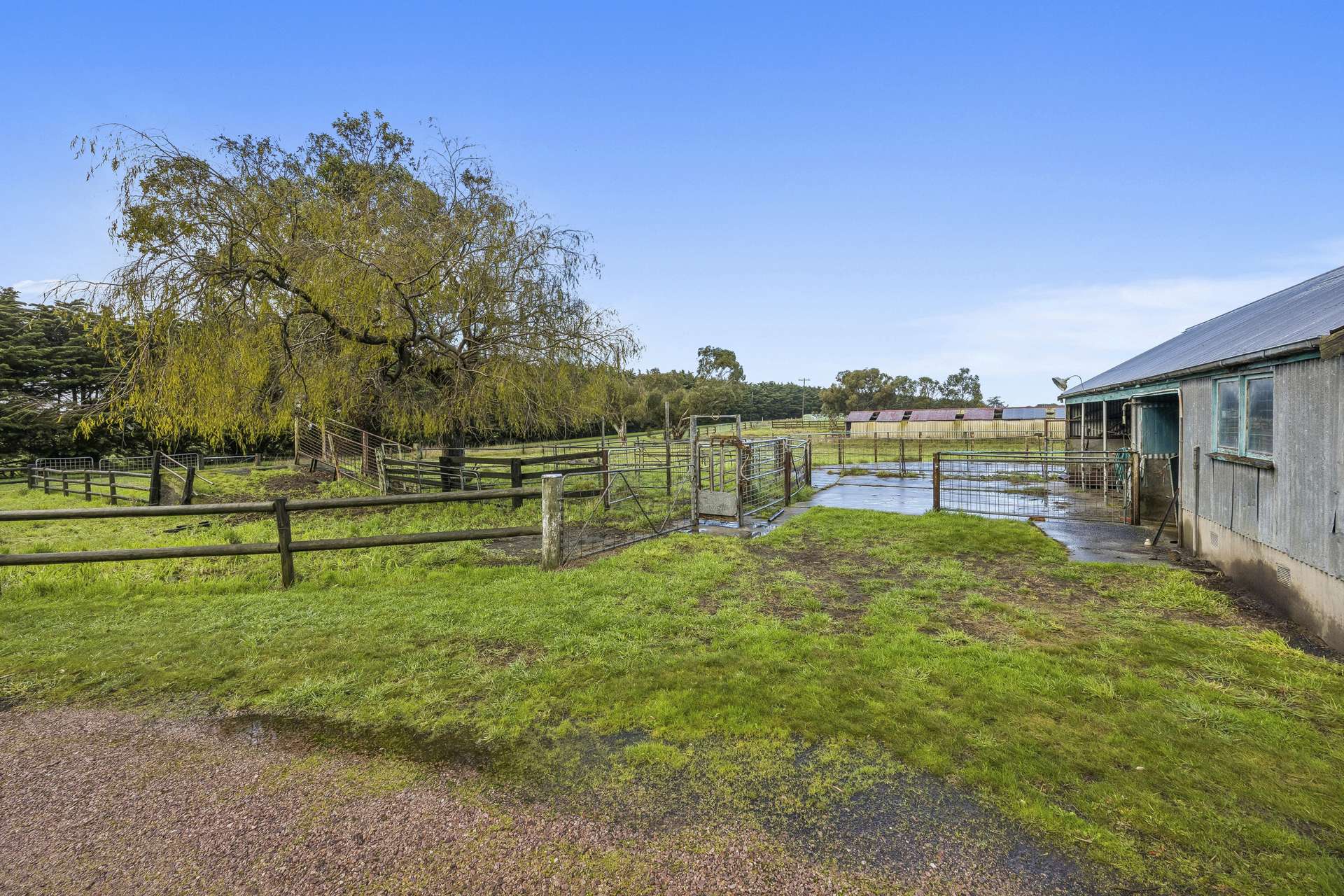 365 Chocolyn Settlement Road, Chocolyn For Sale by Farmbuy.com - image 16