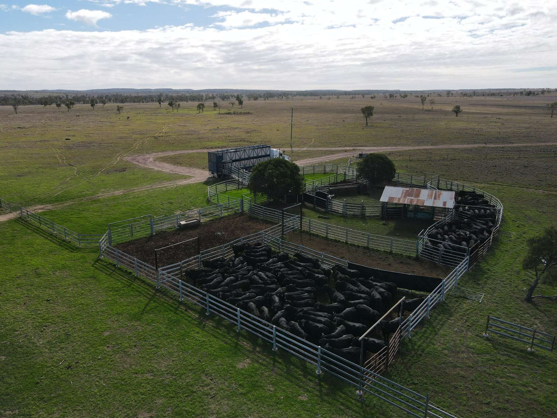 358 Forty One Road, Inglestone For Sale by Farmbuy.com - image 16