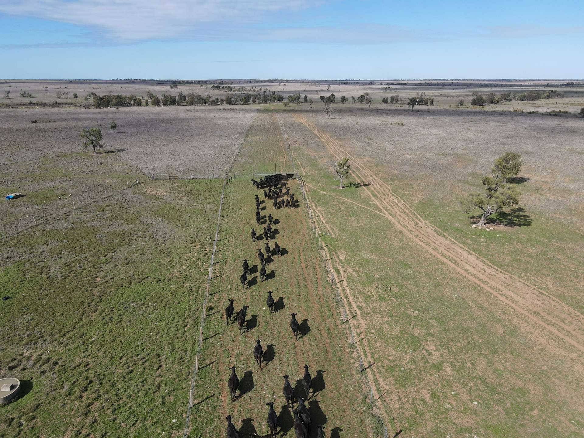 358 Forty One Road, Inglestone For Sale by Farmbuy.com - image 21