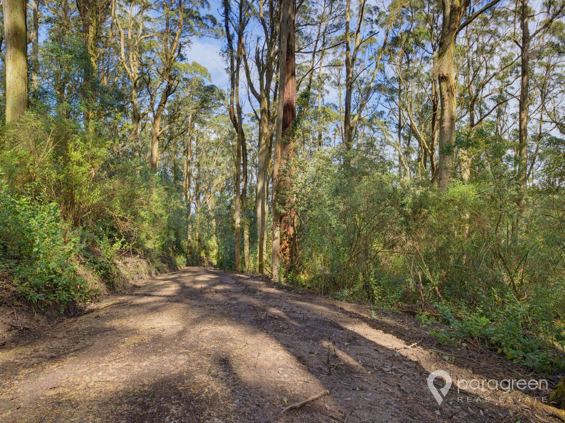 216 Dollar-Woorarra West Road, Turtons Creek For Sale by Farmbuy.com - image 21