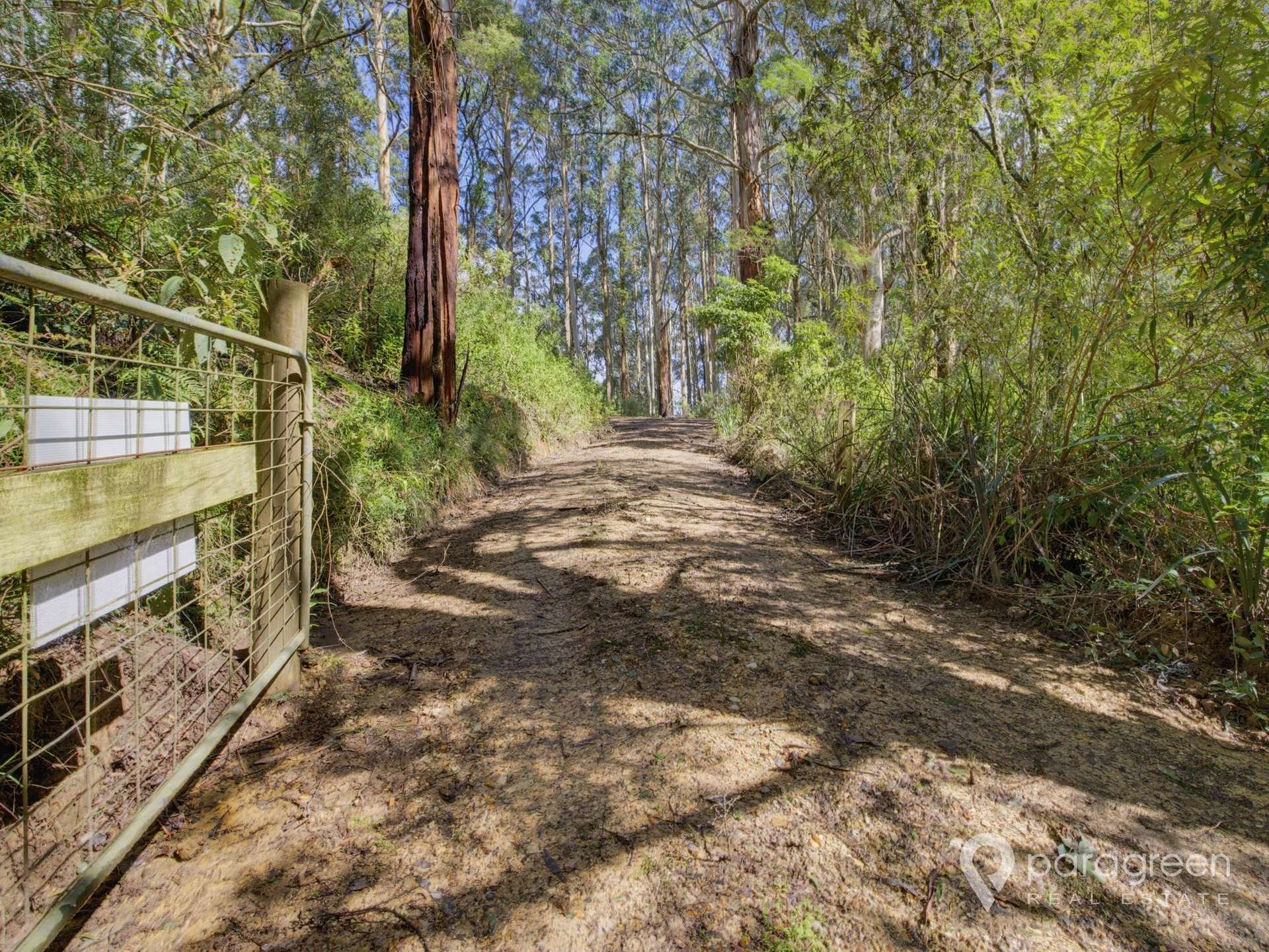 216 Dollar-Woorarra West Road, Turtons Creek For Sale by Farmbuy.com - image 4
