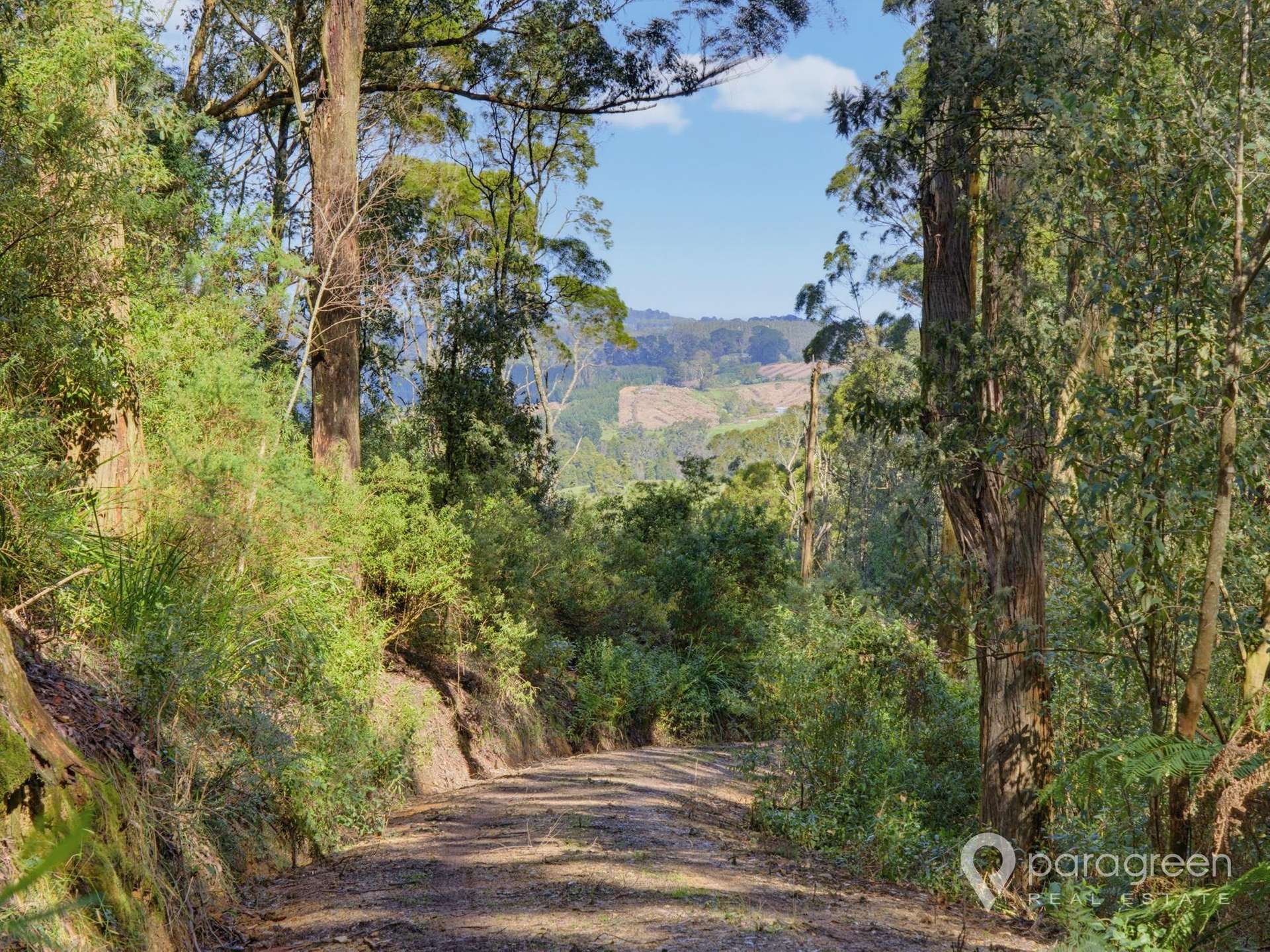 216 Dollar-Woorarra West Road, Turtons Creek For Sale by Farmbuy.com - image 3
