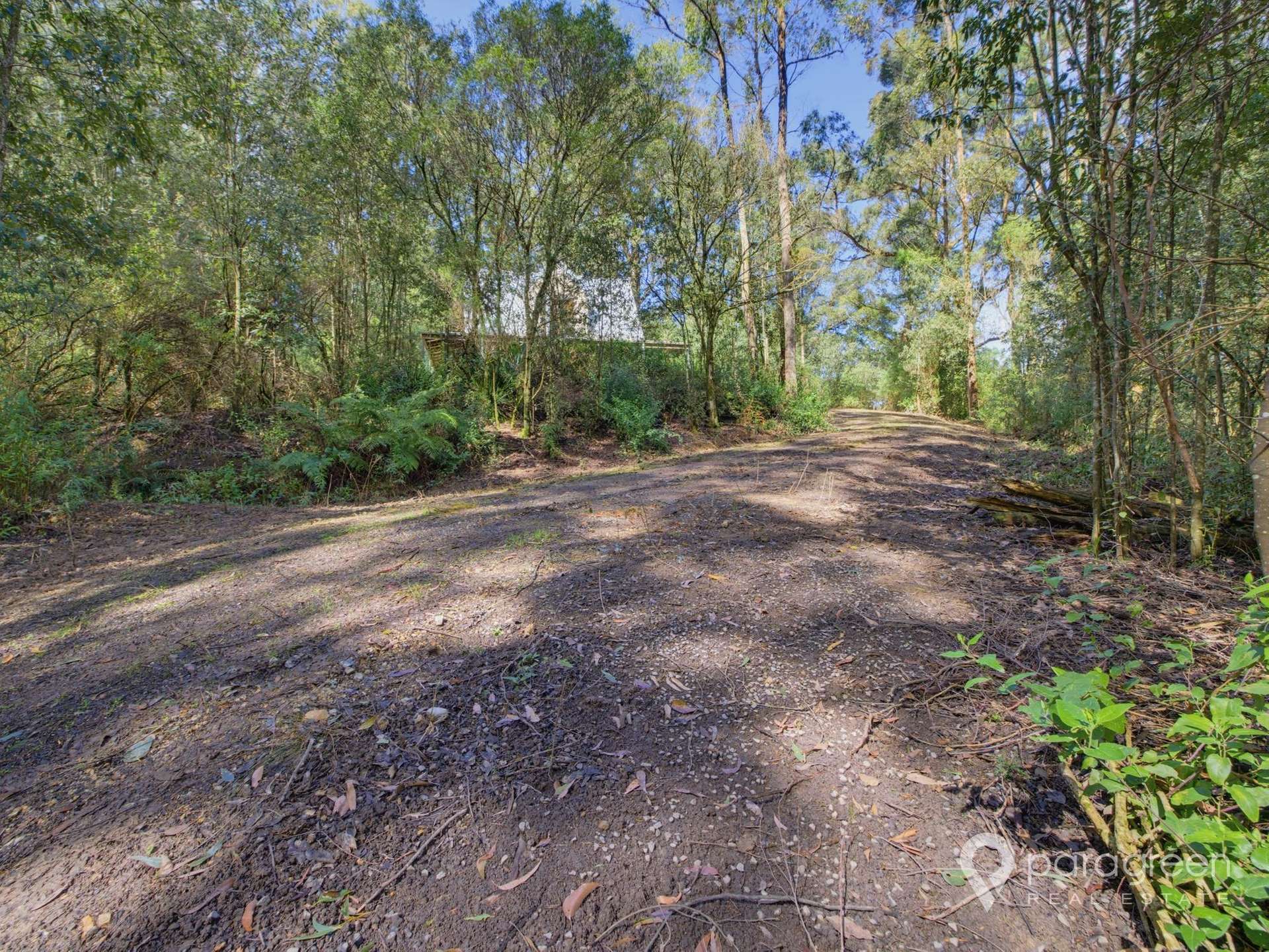 216 Dollar-Woorarra West Road, Turtons Creek For Sale by Farmbuy.com - image 20