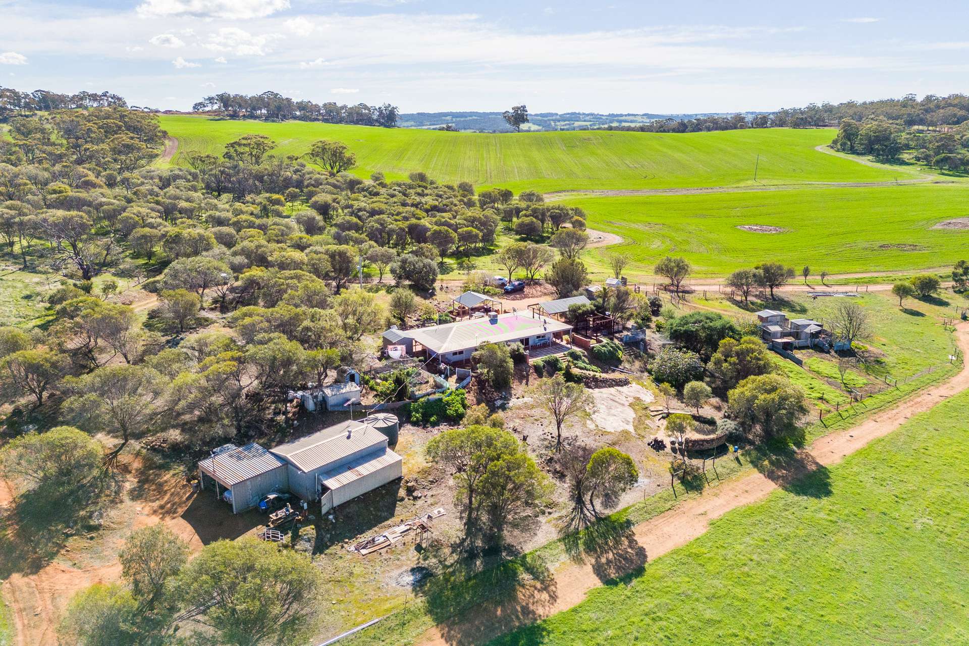271 Old Plains Road, Bejoording For Sale by Farmbuy.com - image 29