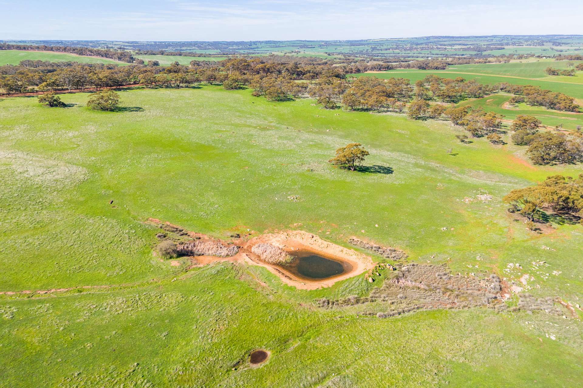 271 Old Plains Road, Bejoording For Sale by Farmbuy.com - image 25