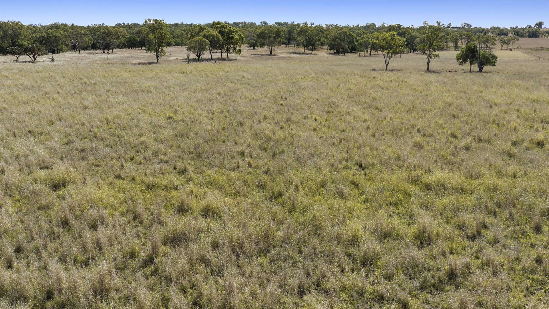 3068 Macalister Bell Road, Dalby For Sale by Farmbuy.com - image 16
