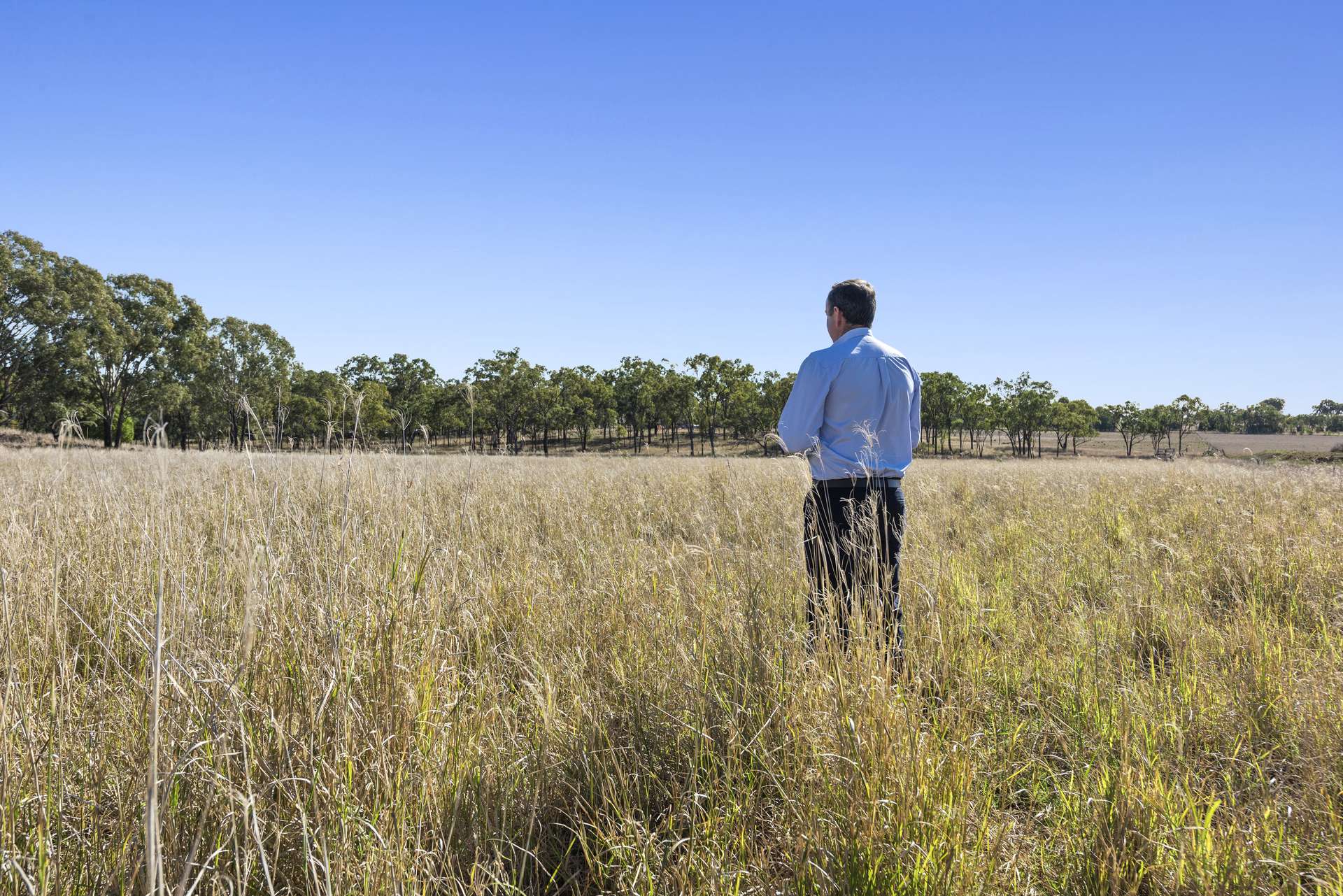 3068 Macalister Bell Road, Dalby For Sale by Farmbuy.com - image 17