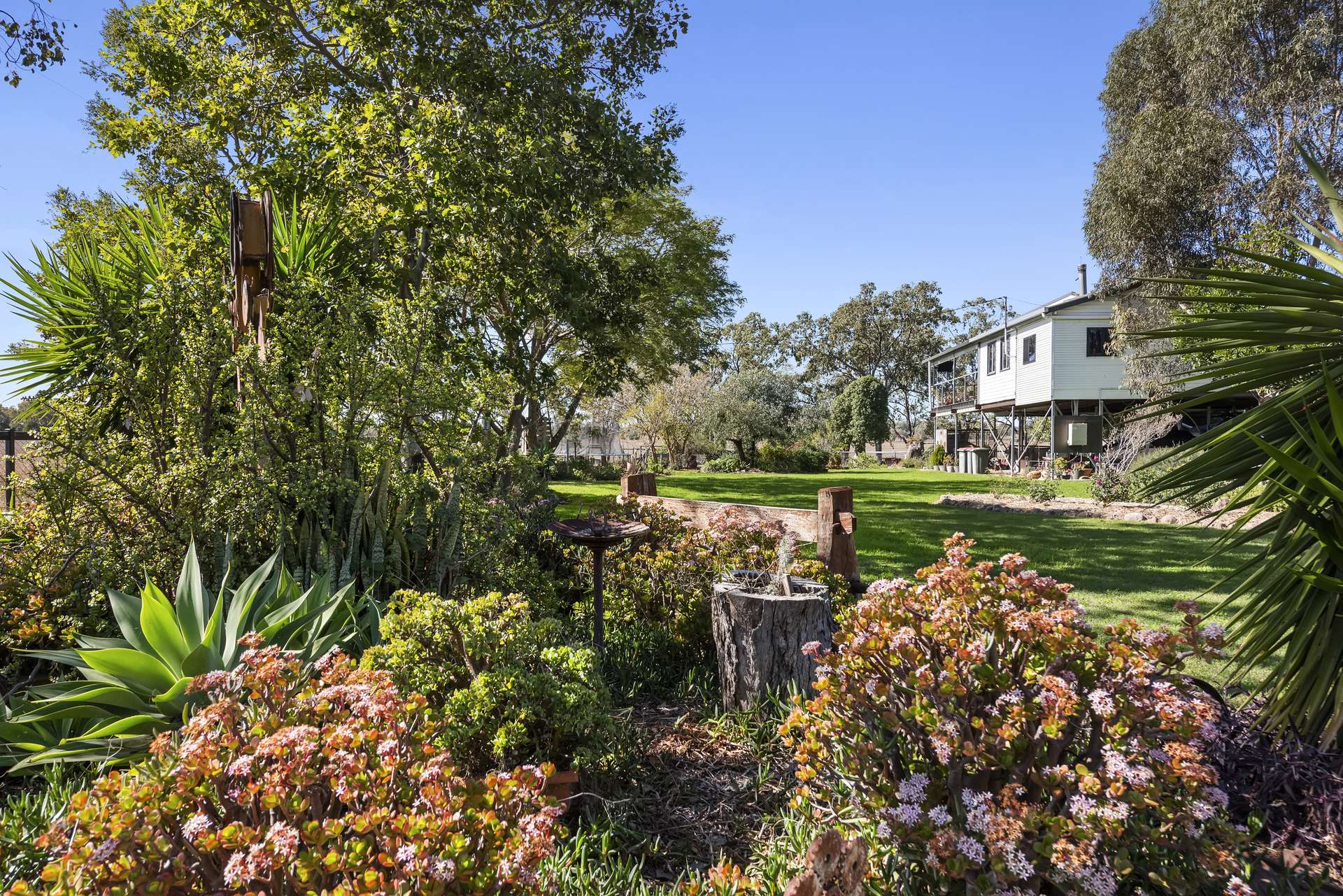 3068 Macalister Bell Road, Dalby For Sale by Farmbuy.com - image 5