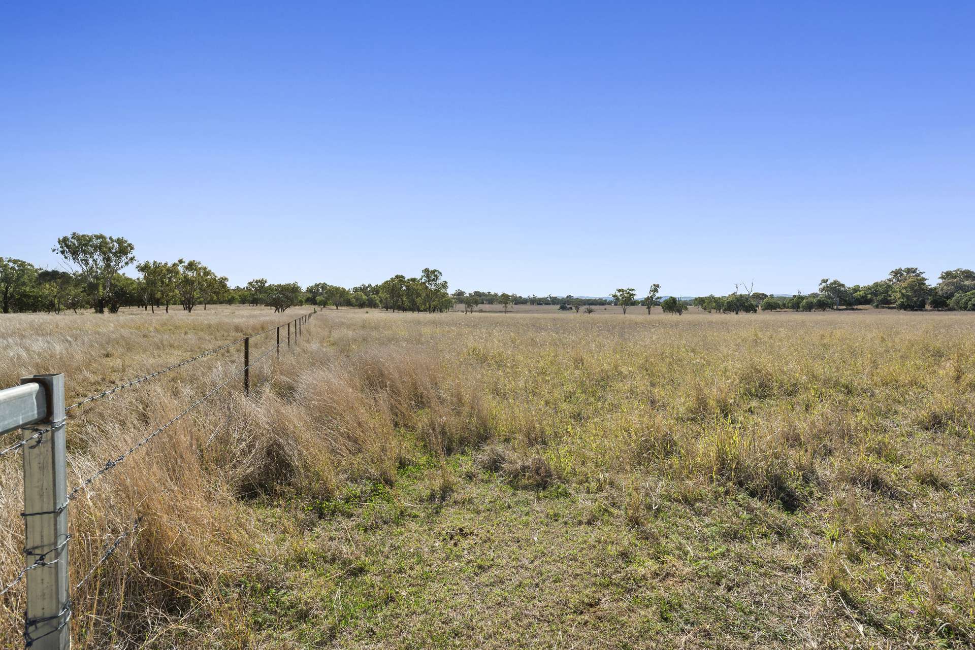 3068 Macalister Bell Road, Dalby For Sale by Farmbuy.com - image 19