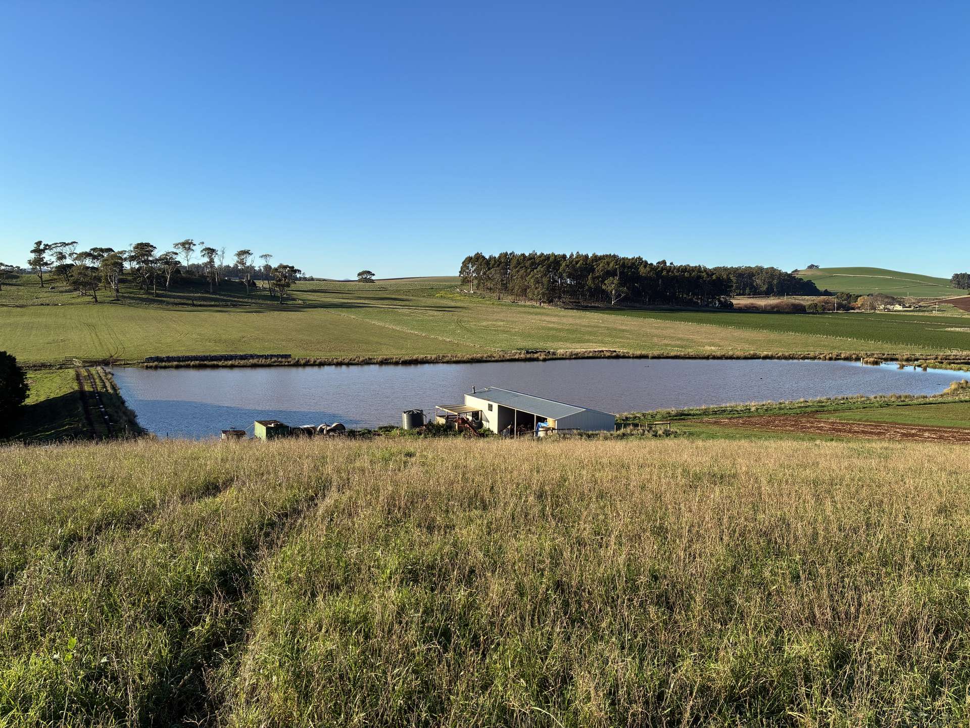 207 Hermitage Lane, Moriarty For Sale by Farmbuy.com - image 2