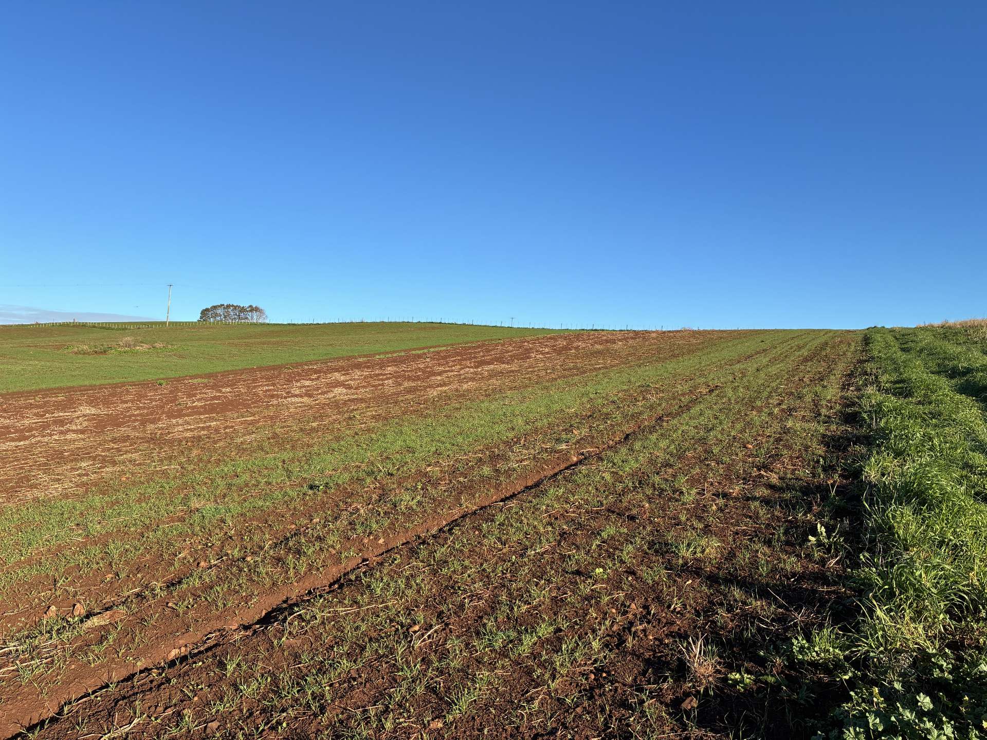 207 Hermitage Lane, Moriarty For Sale by Farmbuy.com - image 6
