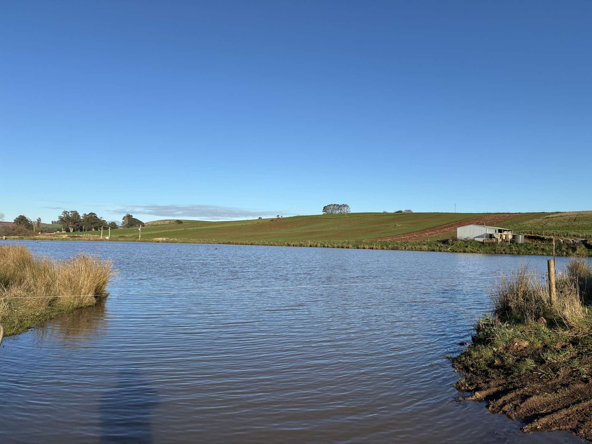 207 Hermitage Lane, Moriarty For Sale by Farmbuy.com - image 12