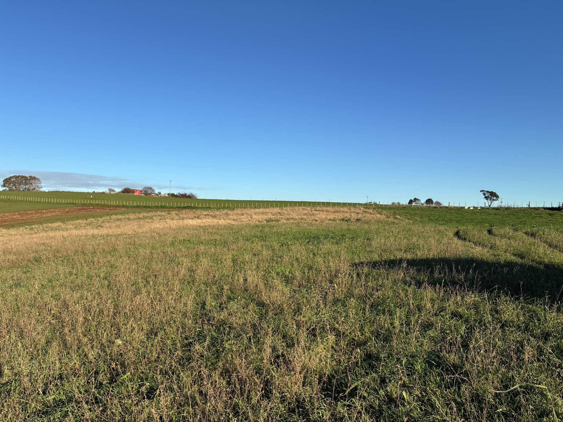 207 Hermitage Lane, Moriarty For Sale by Farmbuy.com - image 5