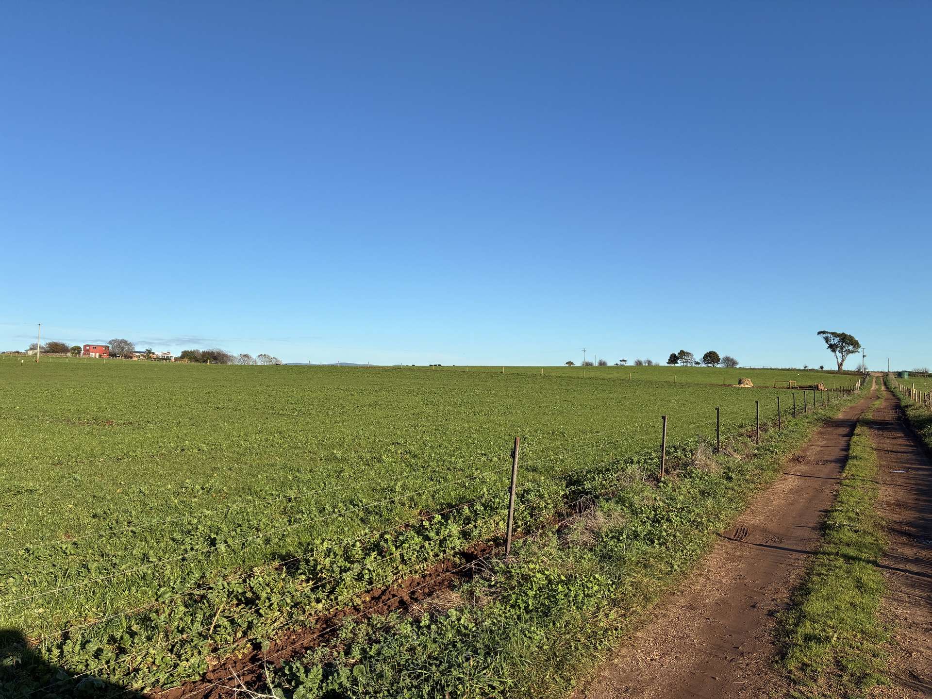 207 Hermitage Lane, Moriarty For Sale by Farmbuy.com - image 7