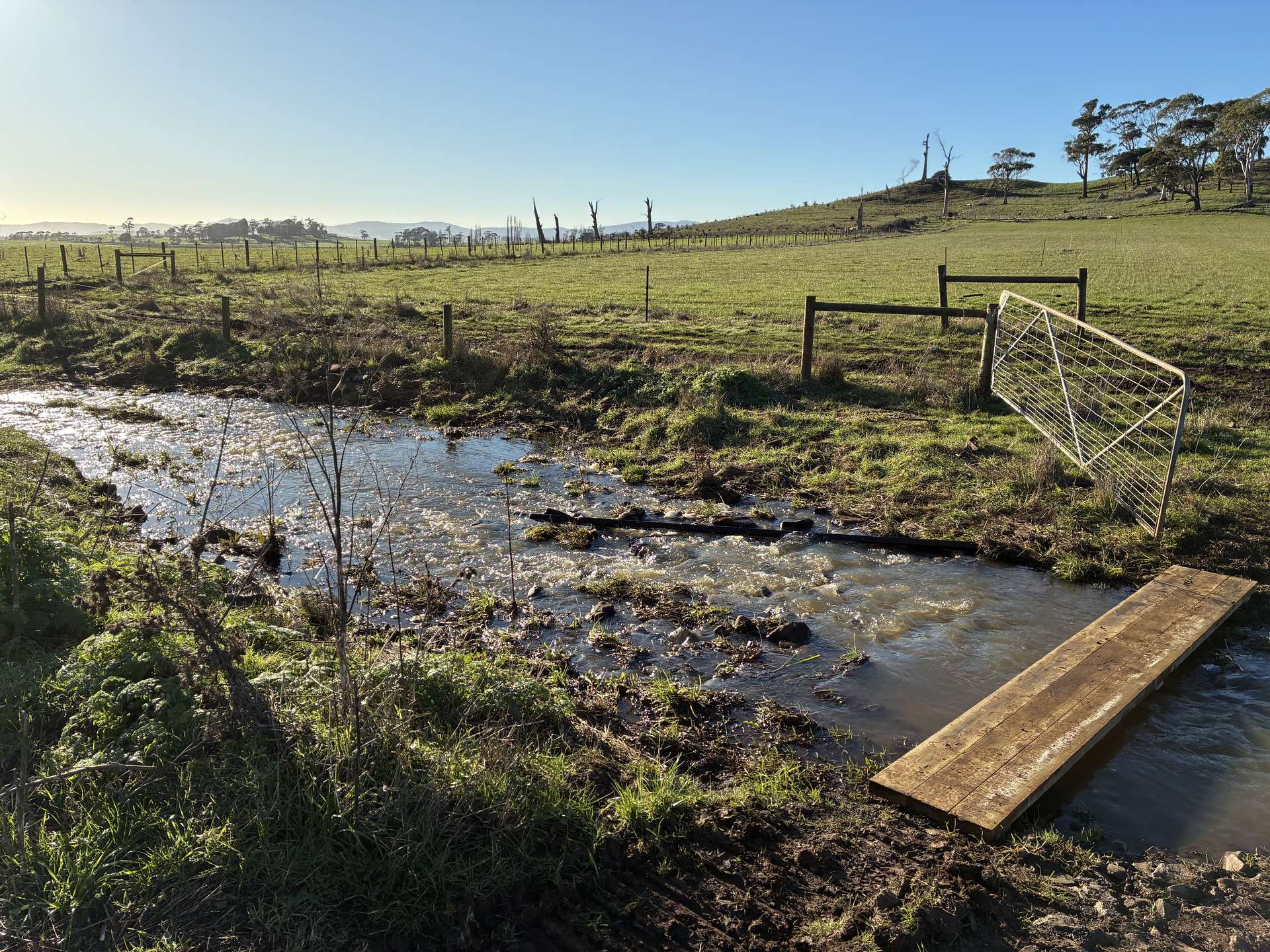 207 Hermitage Lane, Moriarty For Sale by Farmbuy.com - image 10