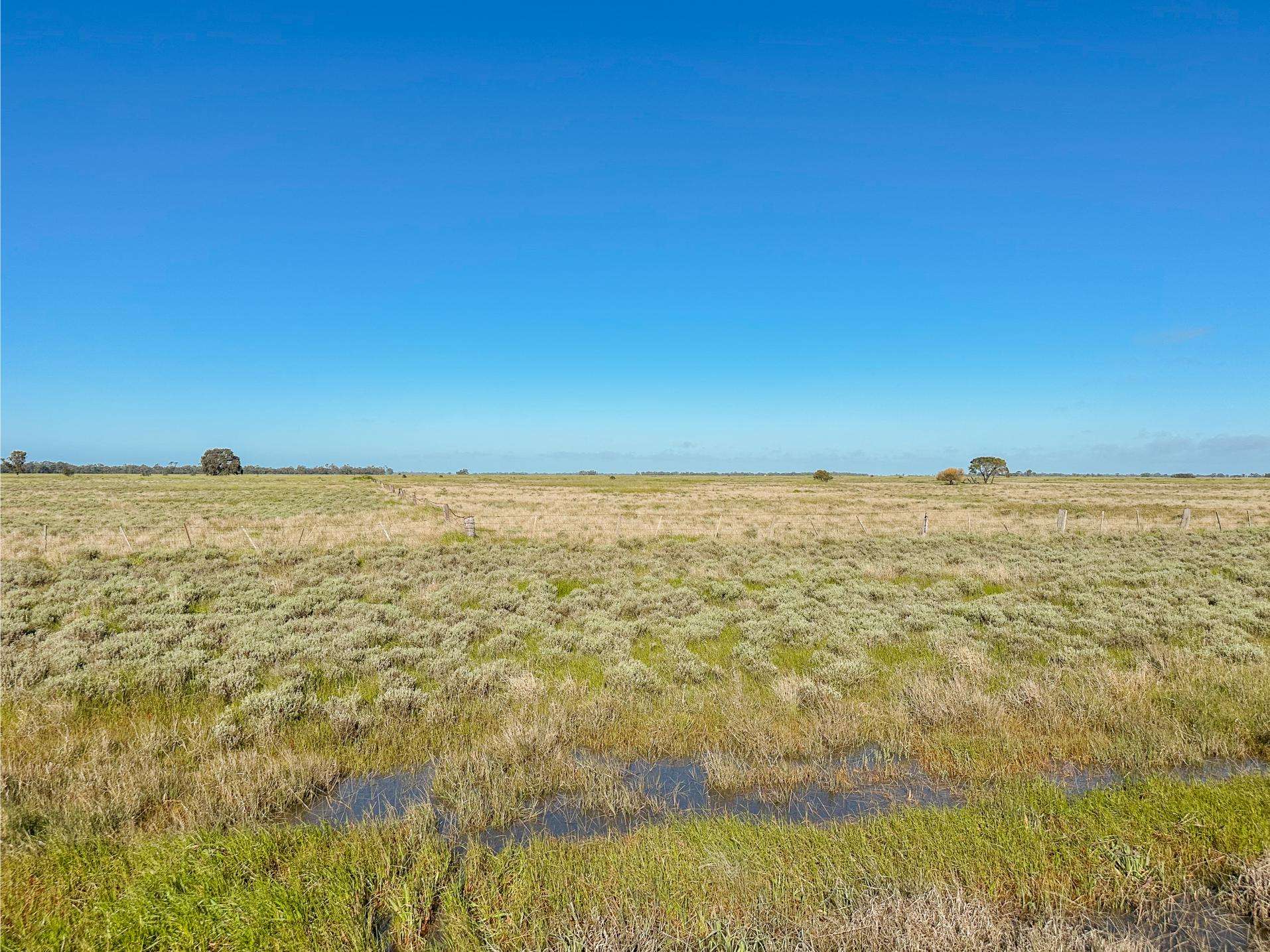 Lot 1,  Lalbert-Kerang Road, Cannie For Sale by Farmbuy.com - image 5