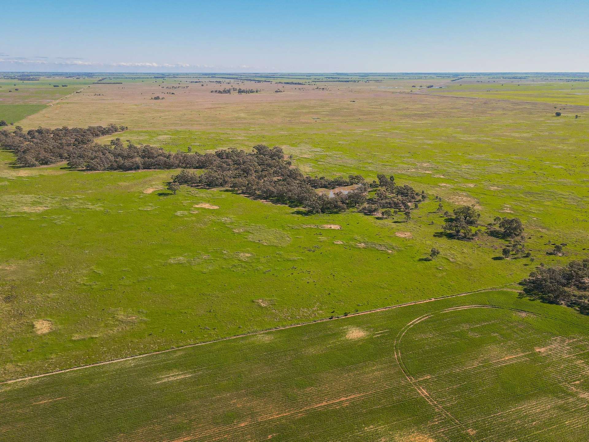 Lot 1,  Lalbert-Kerang Road, Cannie For Sale by Farmbuy.com - image 13