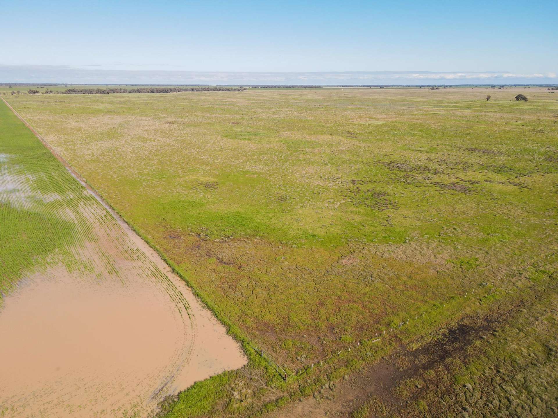 Lot 1,  Lalbert-Kerang Road, Cannie For Sale by Farmbuy.com - image 10